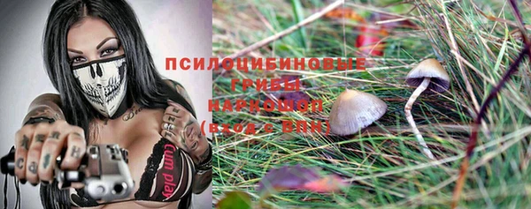 2c-b Верхнеуральск